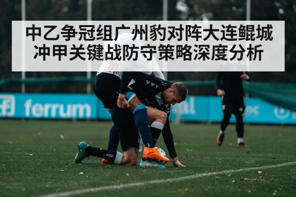 中乙争冠组广州豹对阵大连鲲城冲甲关键战防守策略深度分析