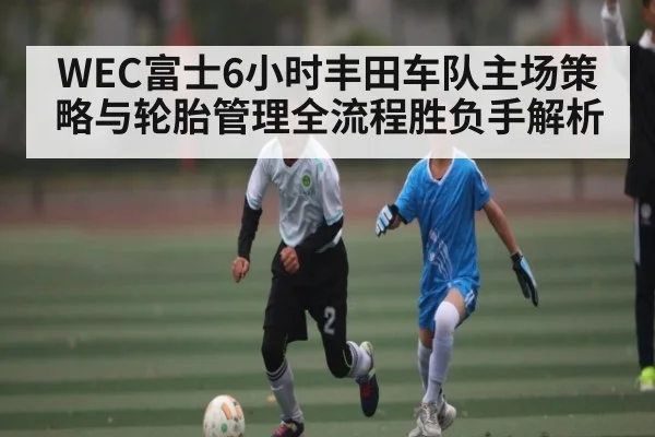 WEC富士6小时丰田车队主场策略与轮胎管理全流程胜负手解析