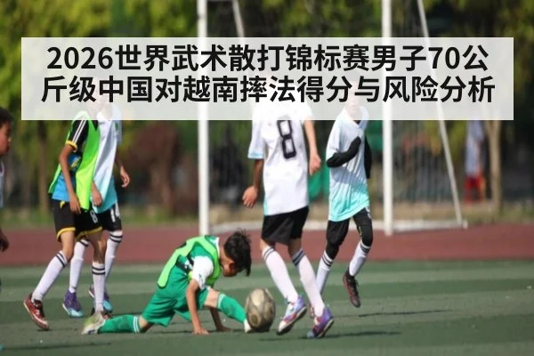 2026世界武术散打锦标赛男子70公斤级中国对越南摔法得分与风险分析