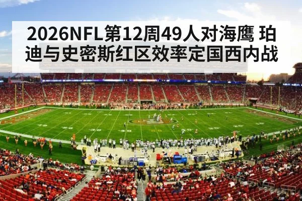 american football stadium crowd night